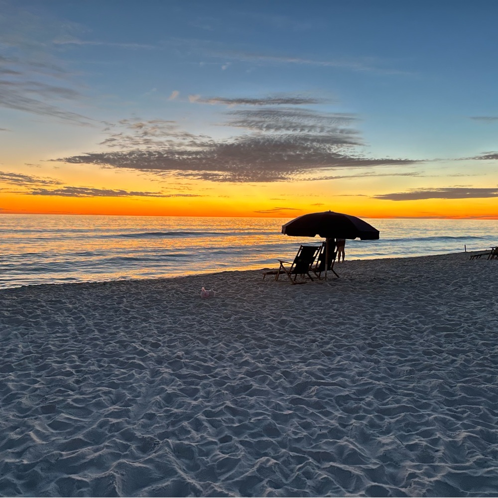 Meet your Posher, Alicia